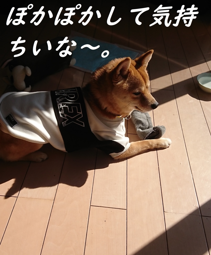 f:id:hanatara:20190303135608j:plain