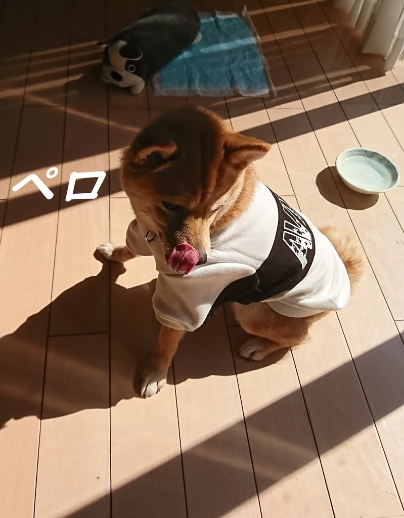 f:id:hanatara:20190303135834j:plain