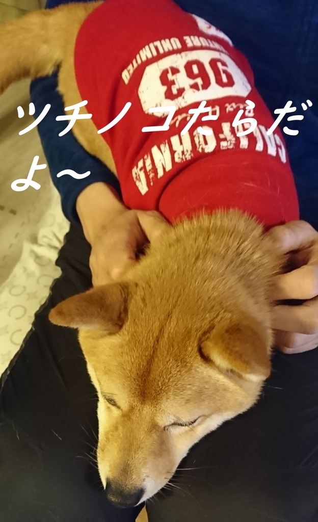 f:id:hanatara:20190308202745j:plain