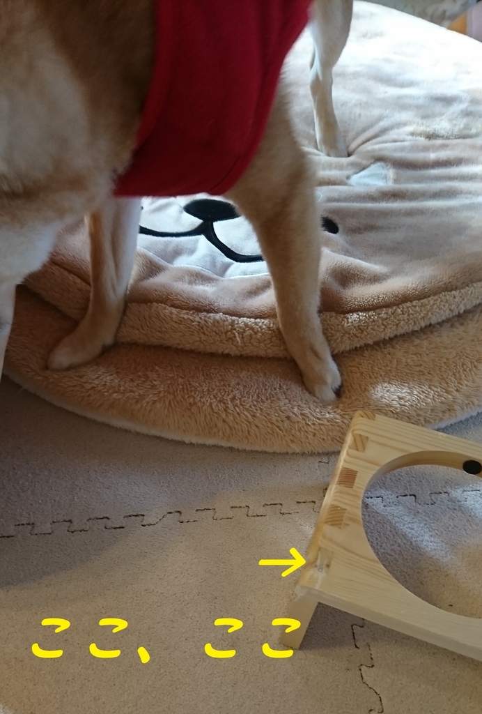 f:id:hanatara:20190310162828j:plain