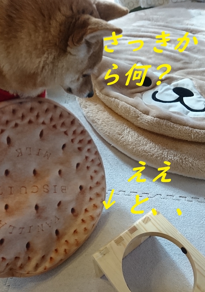 f:id:hanatara:20190310163004j:plain