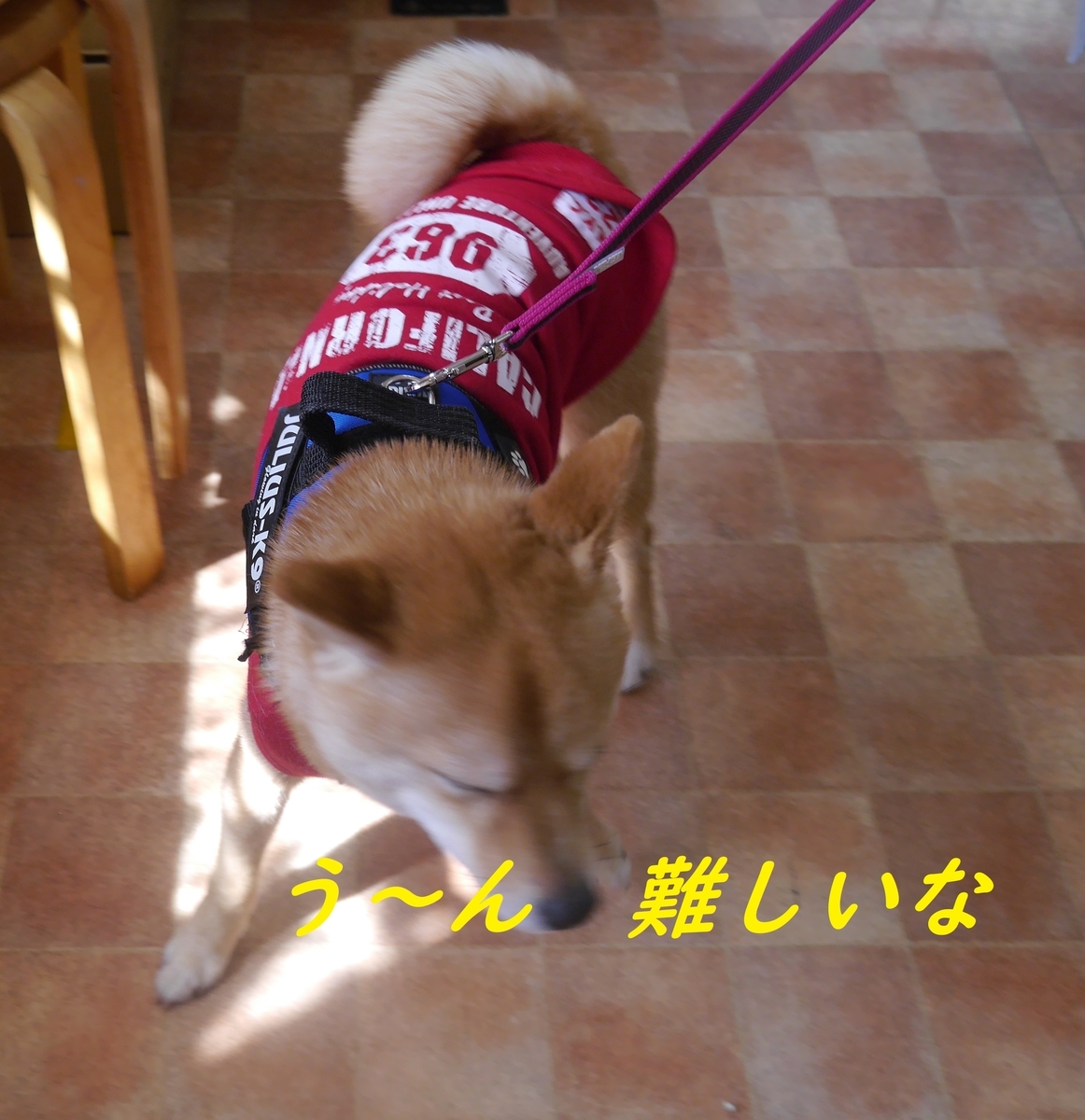 f:id:hanatara:20190316092345j:plain