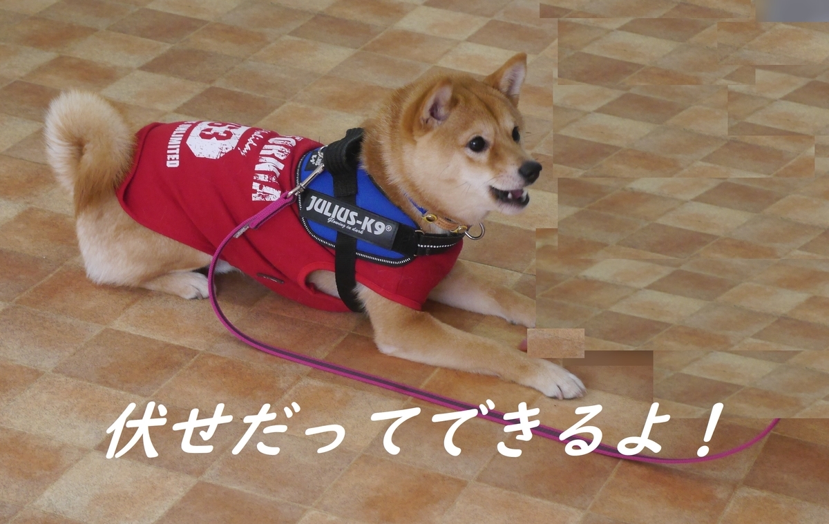 f:id:hanatara:20190316092611j:plain