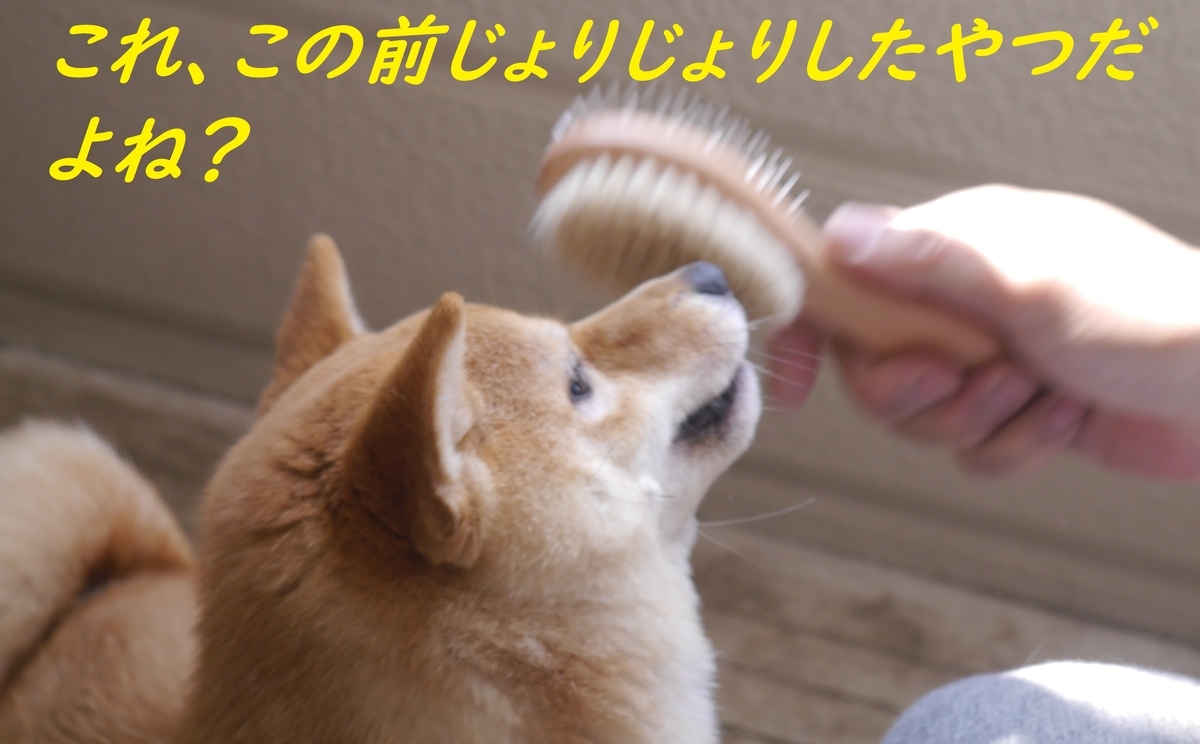 f:id:hanatara:20190316153936j:plain f:id:hanatara:20190316153936j:plain