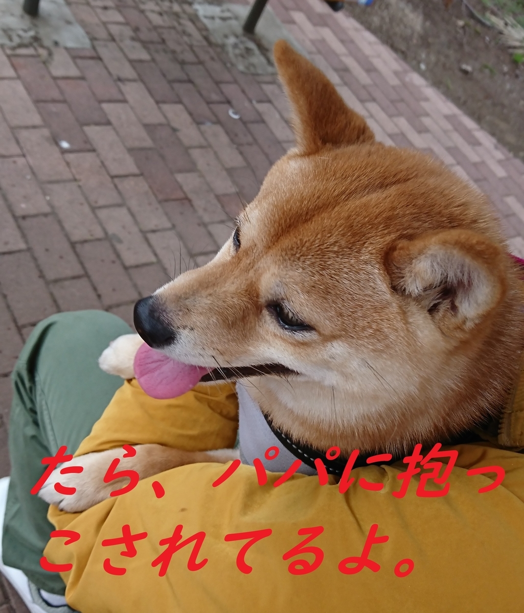f:id:hanatara:20190323200744j:plain