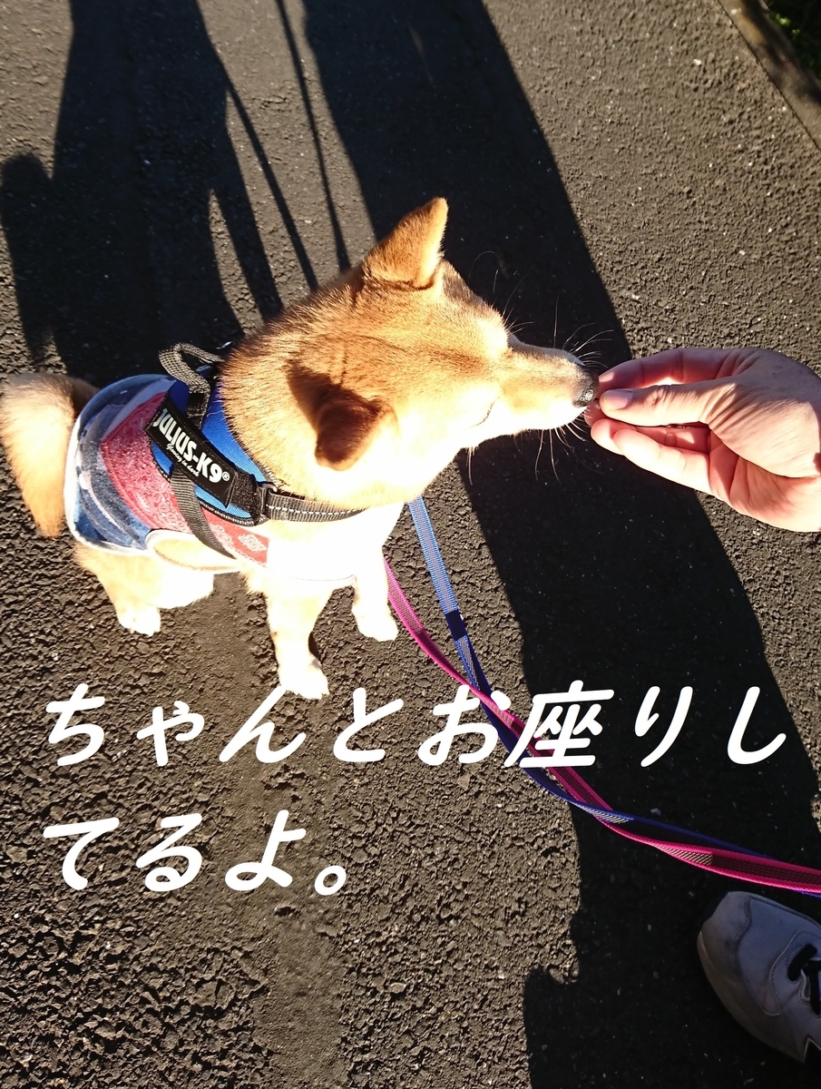 f:id:hanatara:20190324154809j:plain