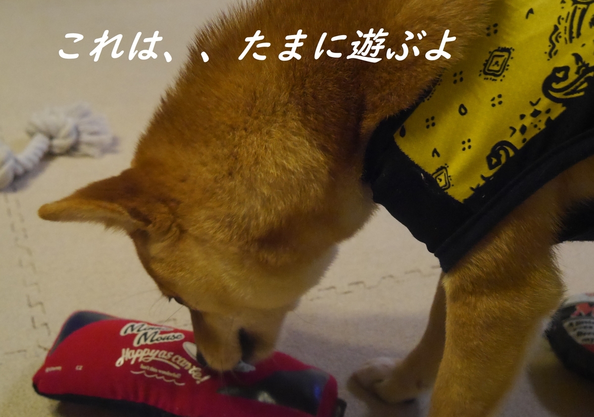 f:id:hanatara:20190330122227j:plain