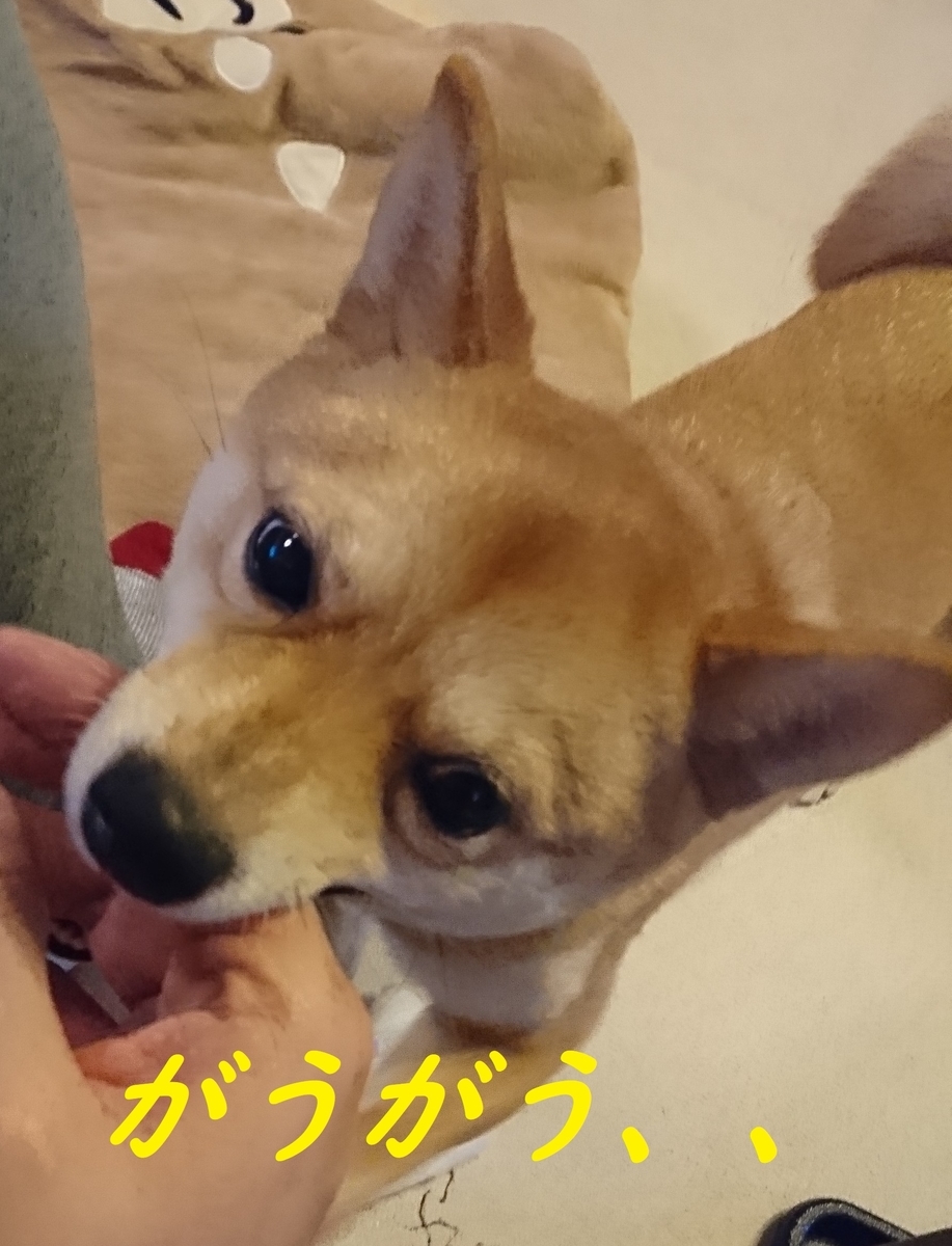 f:id:hanatara:20190331151829j:plain