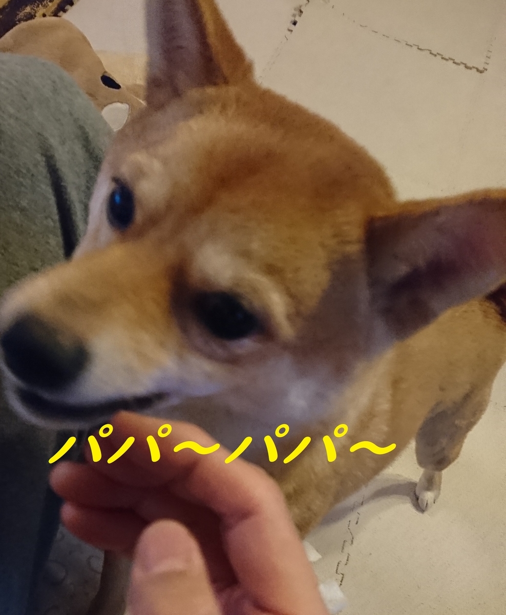 f:id:hanatara:20190331151946j:plain