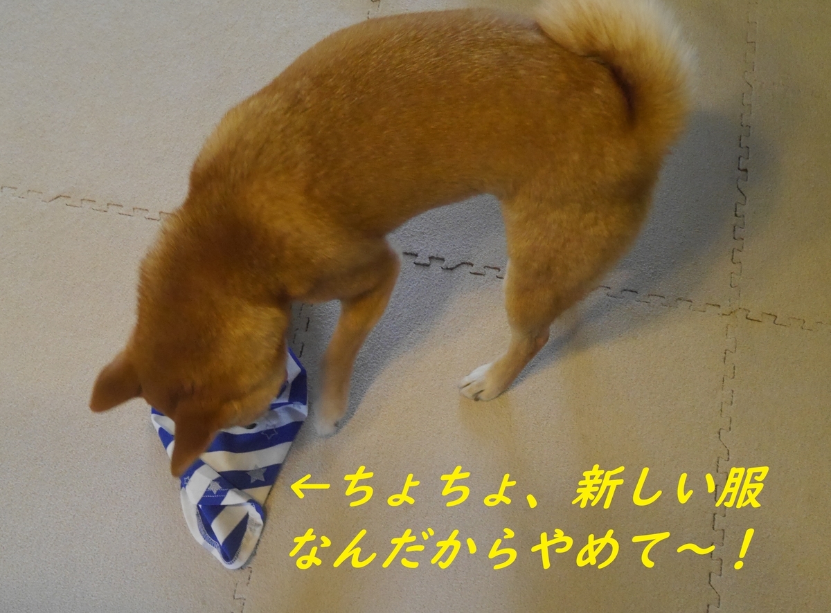f:id:hanatara:20190331155456j:plain