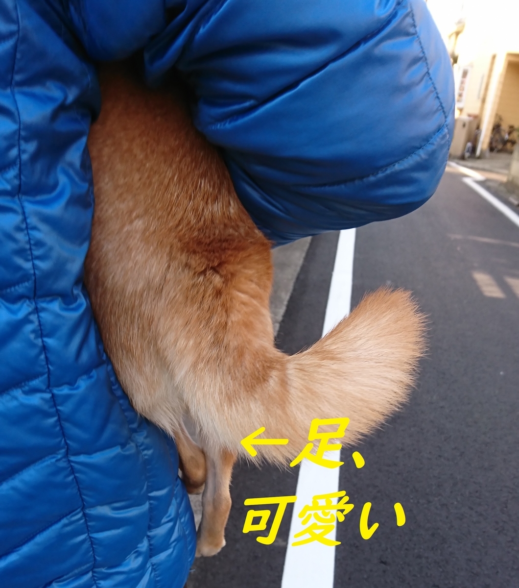 f:id:hanatara:20190406134230j:plain f:id:hanatara:20190406134230j:plain