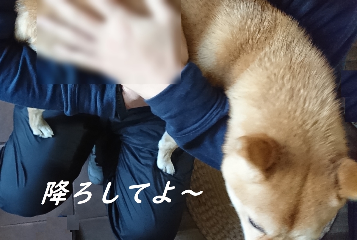 f:id:hanatara:20190406134613j:plain f:id:hanatara:20190406134613j:plain