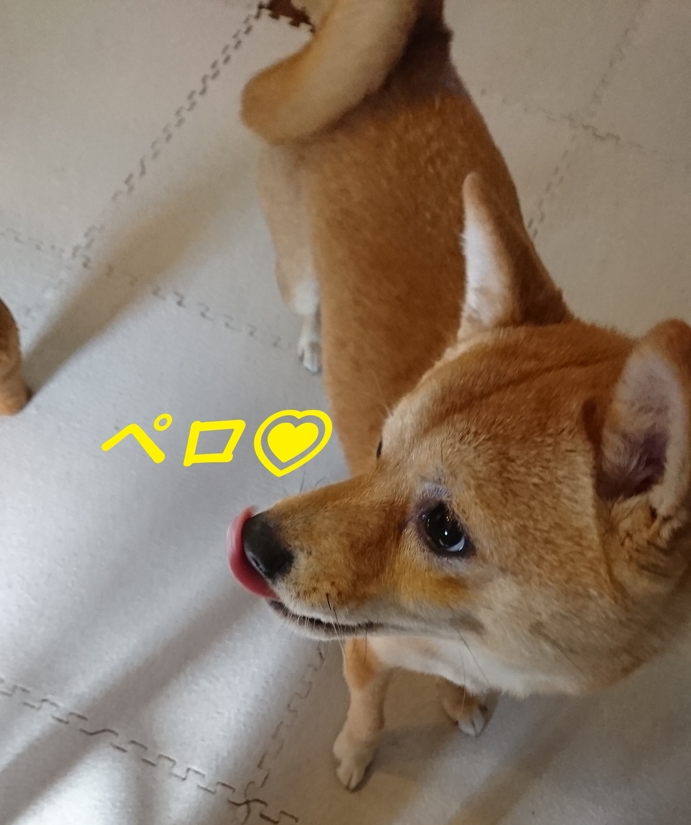 f:id:hanatara:20190406135312j:plain