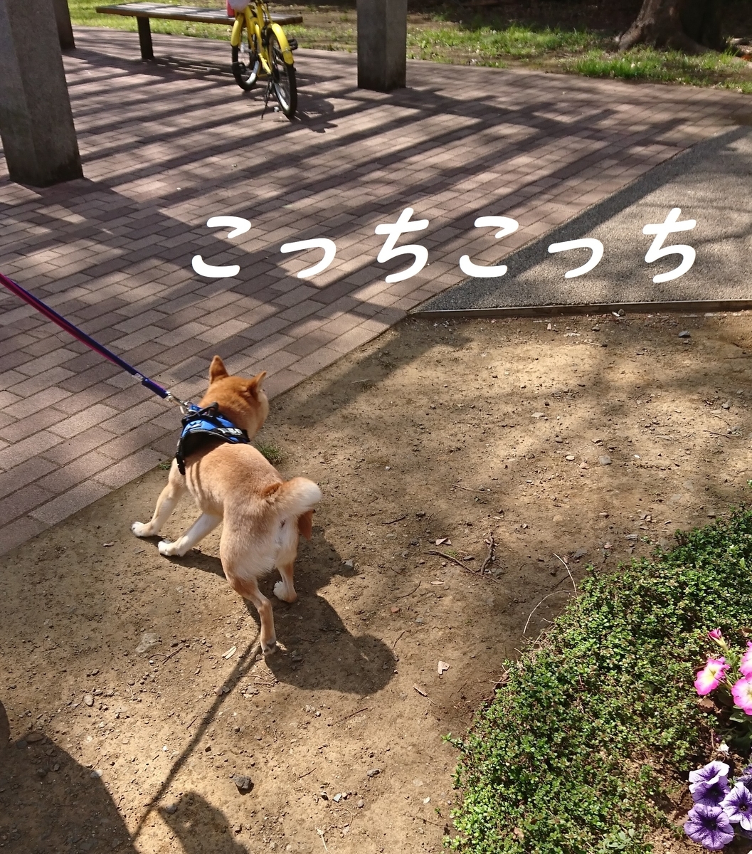 f:id:hanatara:20190406144112j:plain