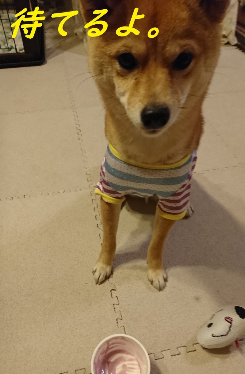f:id:hanatara:20190418195233j:plain