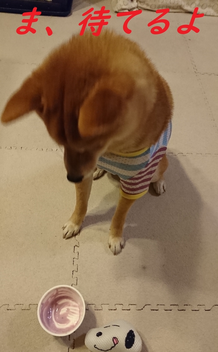 f:id:hanatara:20190418195334j:plain