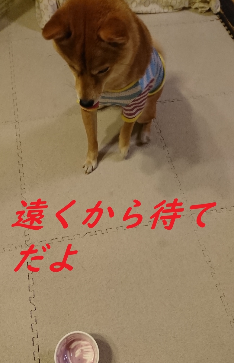 f:id:hanatara:20190418195450j:plain