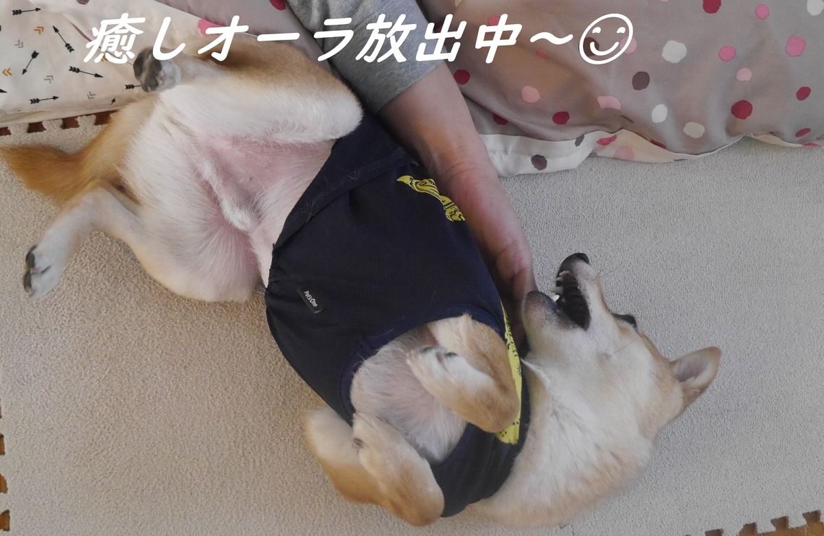 f:id:hanatara:20190428094053j:plain