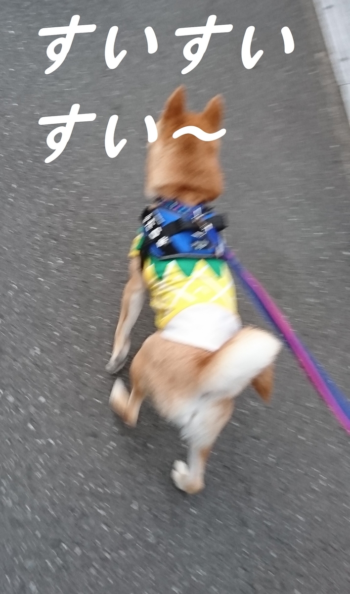 f:id:hanatara:20190517203938j:plain