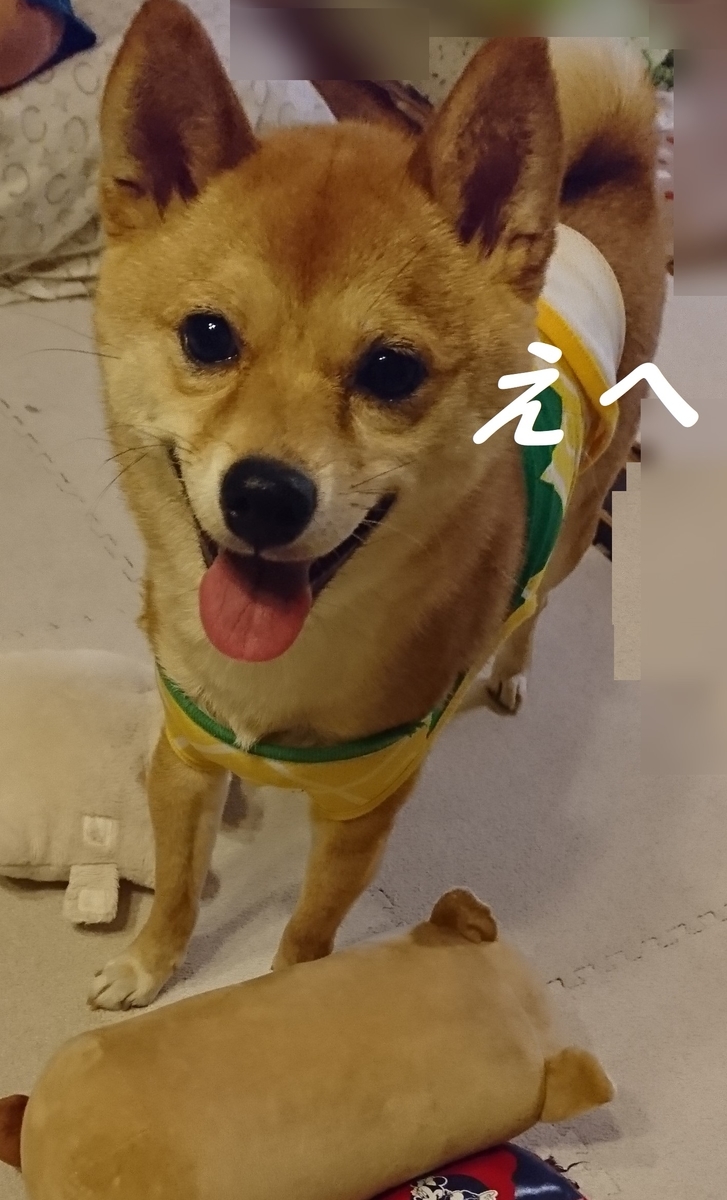 f:id:hanatara:20190518205906j:plain f:id:hanatara:20190518205906j:plain