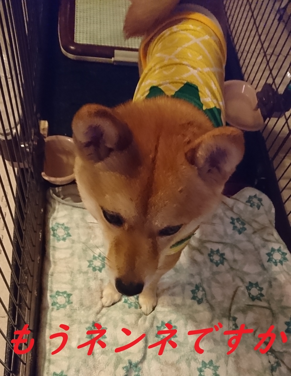 f:id:hanatara:20190518210034j:plain f:id:hanatara:20190518210034j:plain