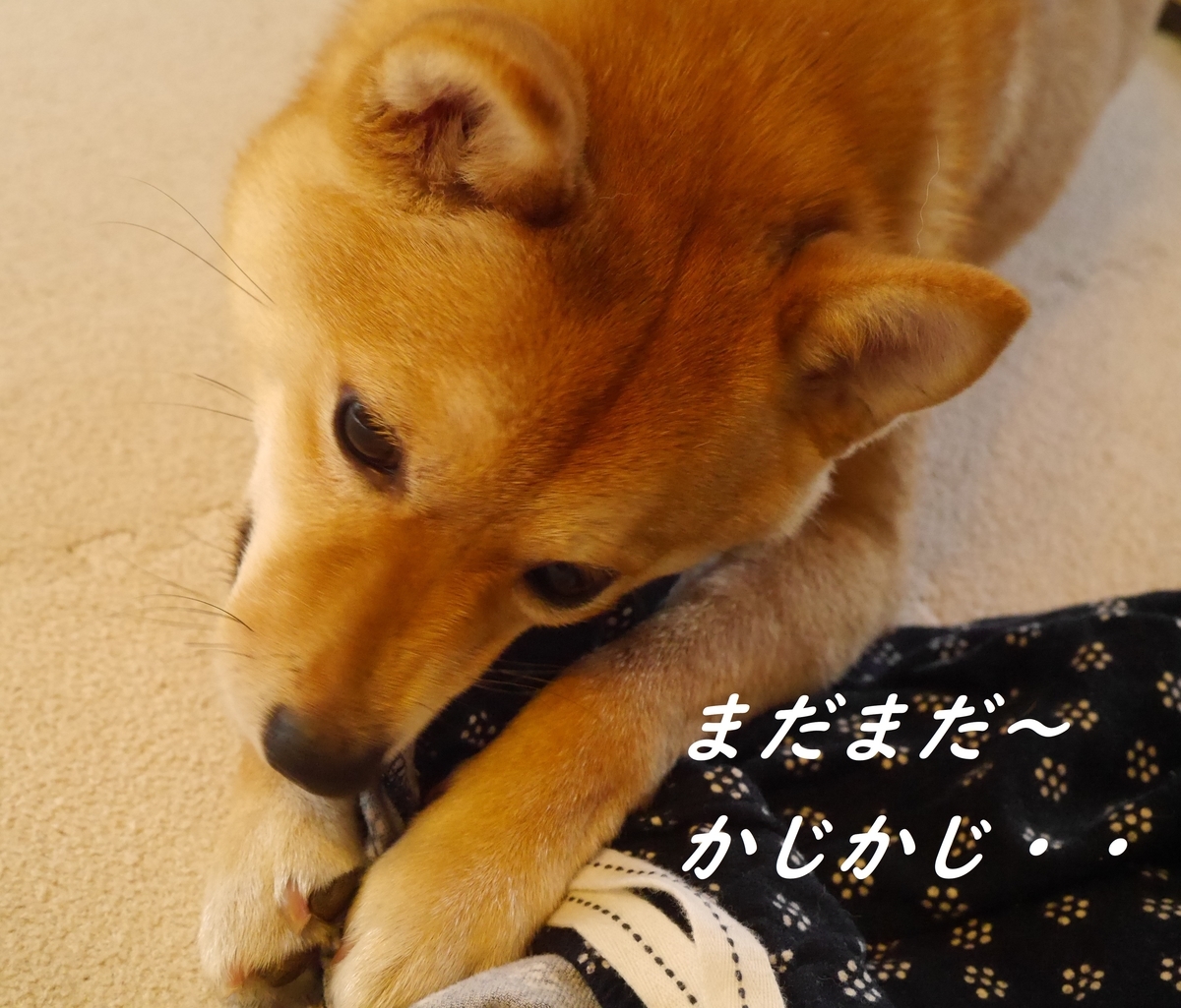 f:id:hanatara:20190519143346j:plain