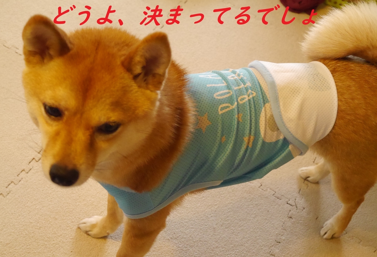 f:id:hanatara:20190519143456j:plain