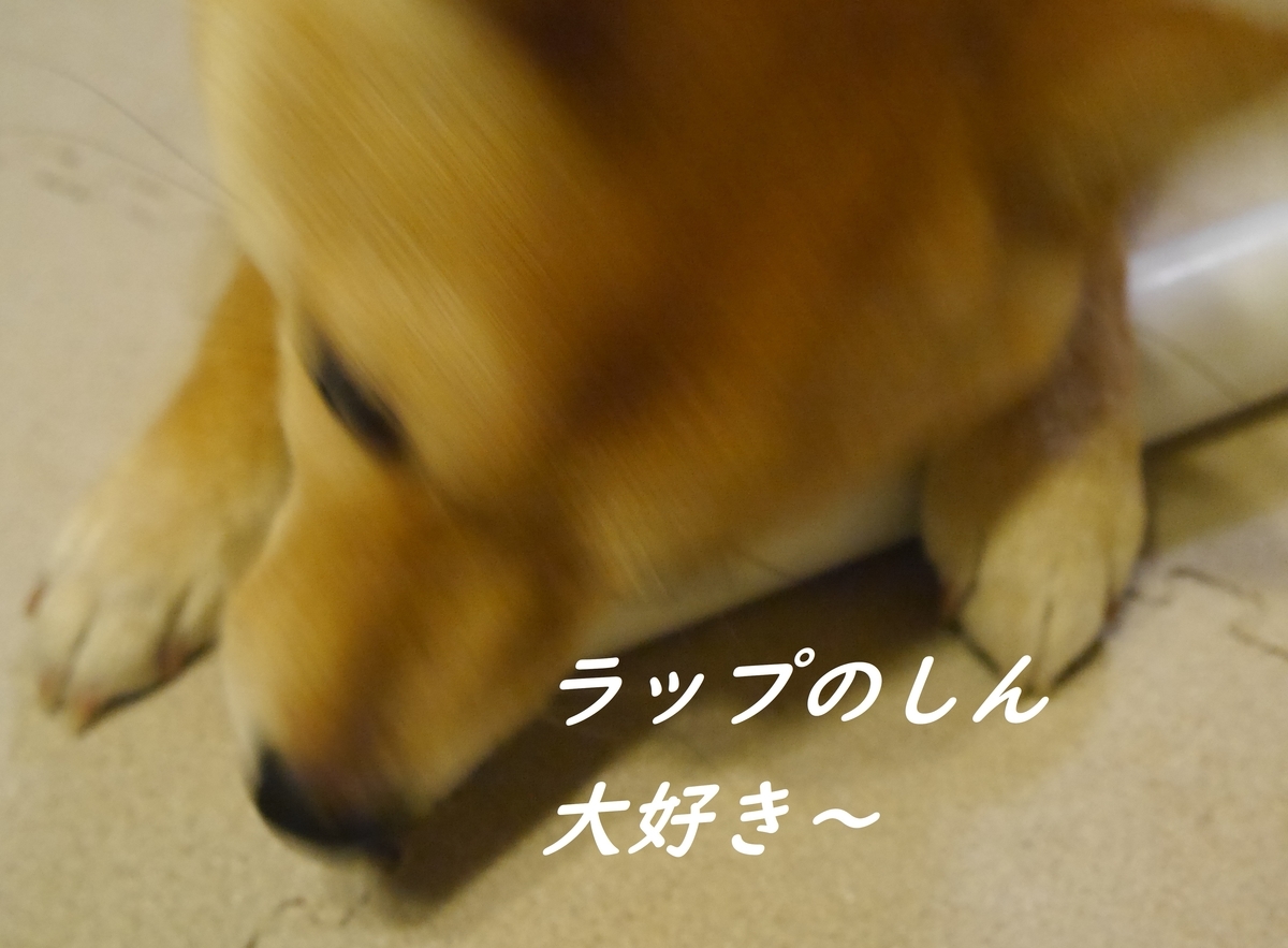 f:id:hanatara:20190524204807j:plain