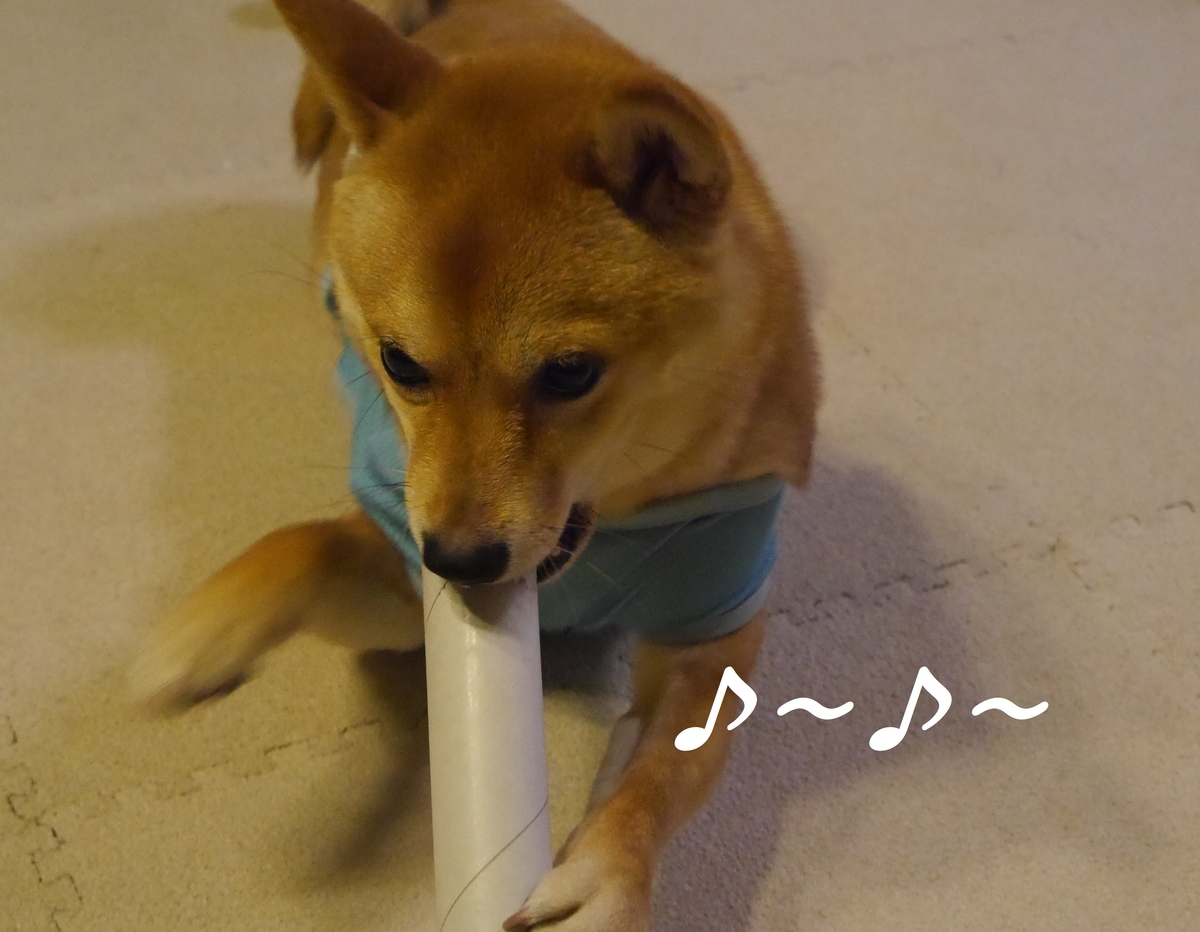 f:id:hanatara:20190524204939j:plain
