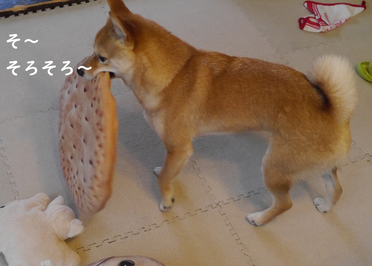 f:id:hanatara:20190526092111j:plain
