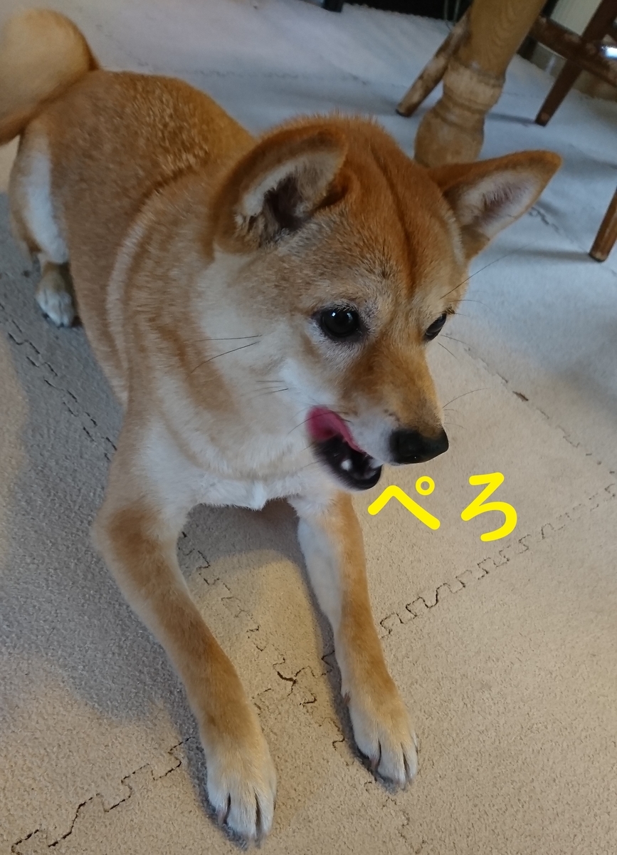 f:id:hanatara:20190526094305j:plain