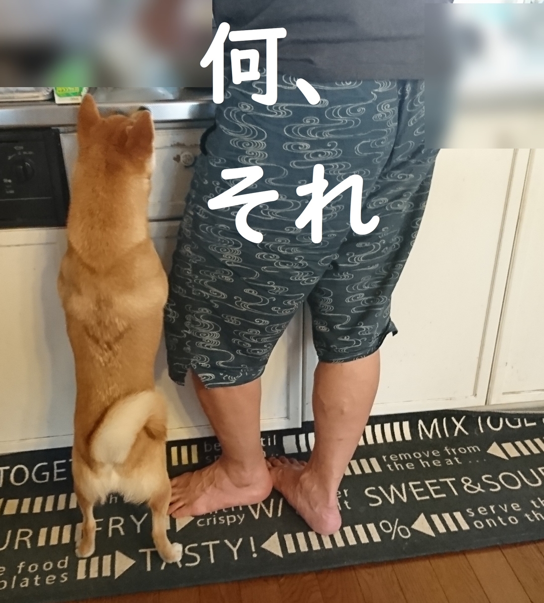 f:id:hanatara:20190607121104j:plain f:id:hanatara:20190607121104j:plain