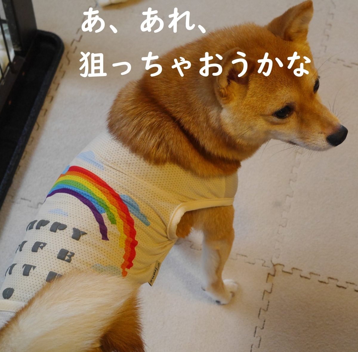 f:id:hanatara:20190608095412j:plain