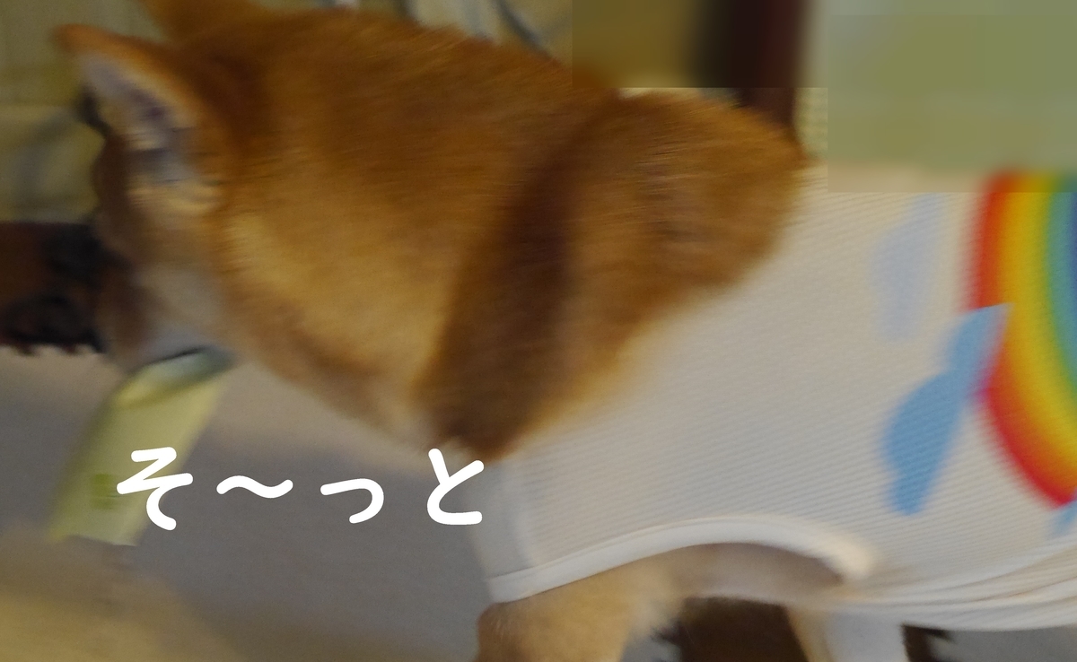 f:id:hanatara:20190608095700j:plain