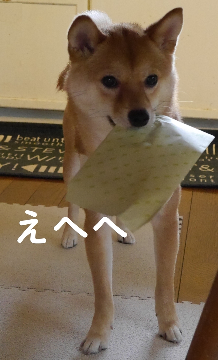 f:id:hanatara:20190608095828j:plain