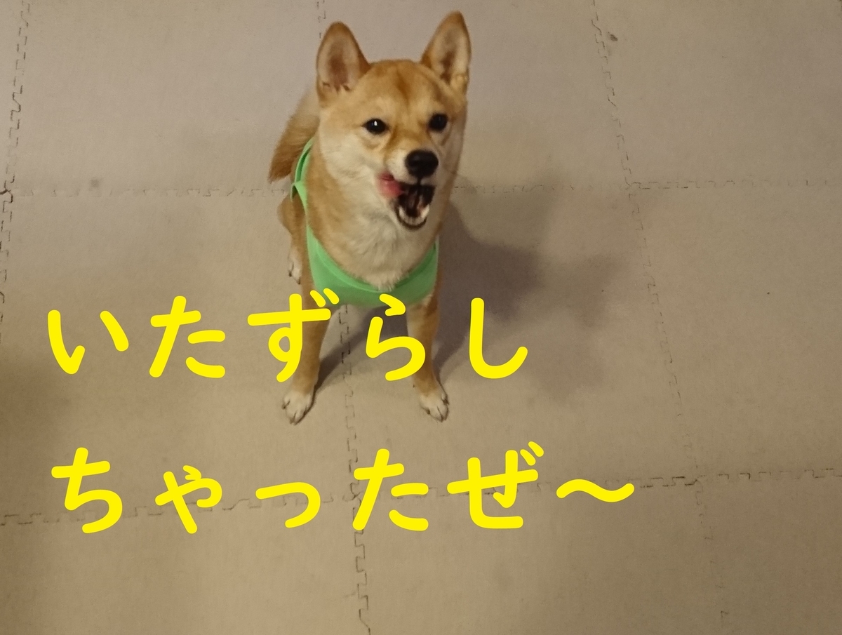 f:id:hanatara:20190615142222j:plain