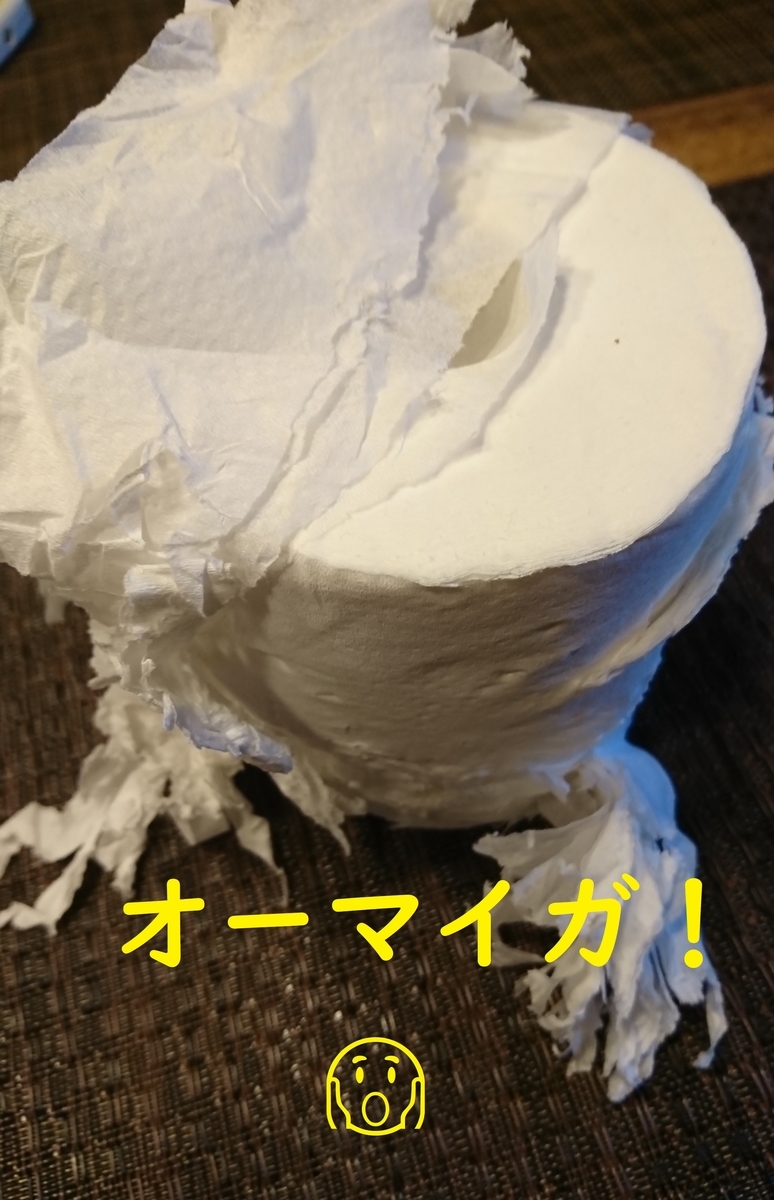 f:id:hanatara:20190615142336j:plain