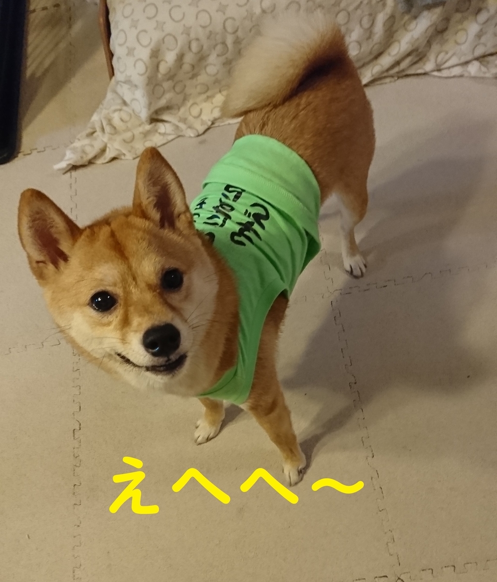 f:id:hanatara:20190615142457j:plain