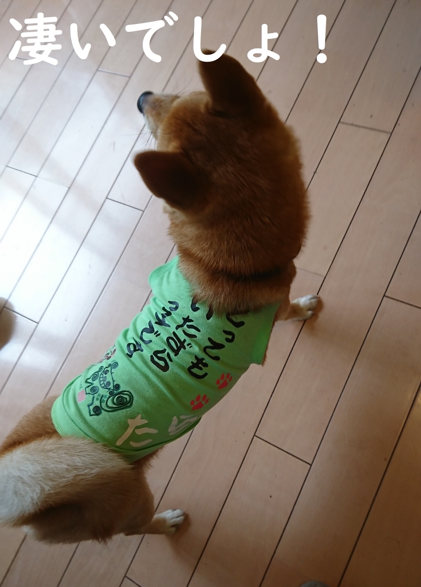 f:id:hanatara:20190616145431j:plain f:id:hanatara:20190616145431j:plain