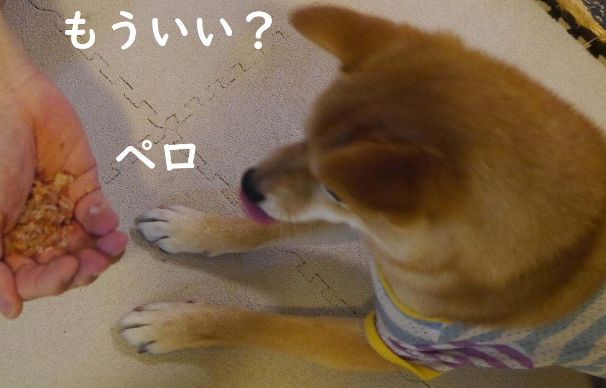 f:id:hanatara:20190622113331j:plain f:id:hanatara:20190622113331j:plain