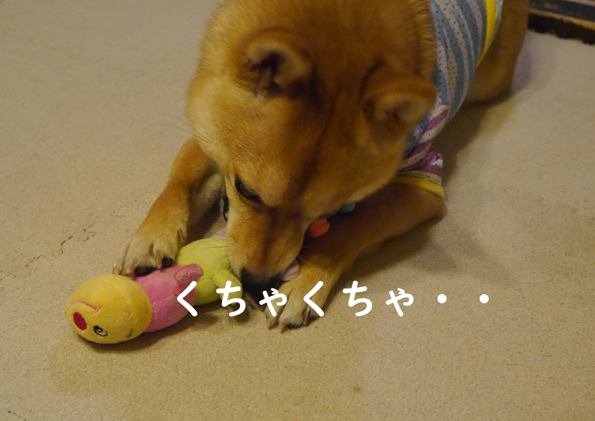 f:id:hanatara:20190622113514j:plain f:id:hanatara:20190622113514j:plain