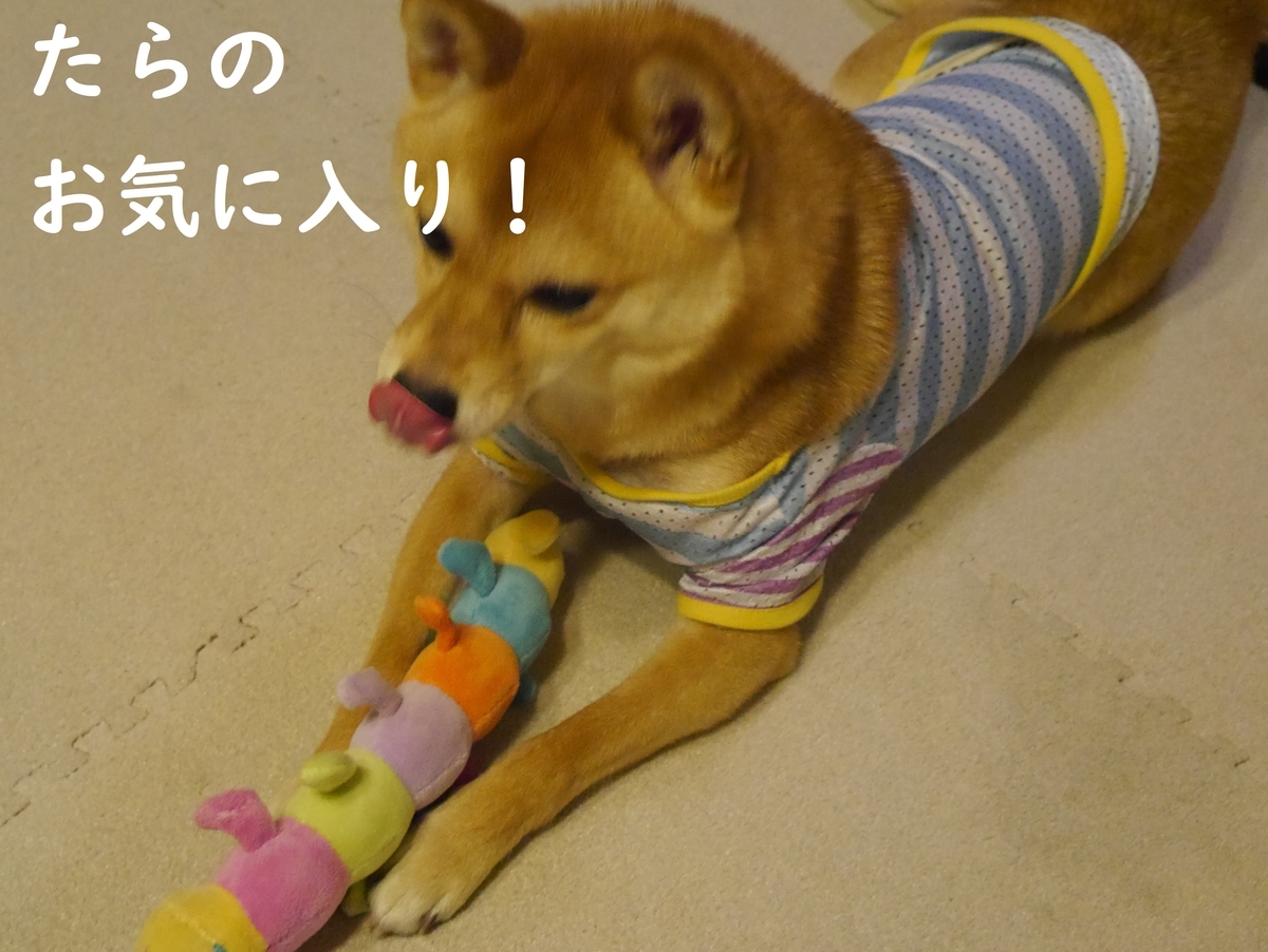 f:id:hanatara:20190622113610j:plain f:id:hanatara:20190622113610j:plain