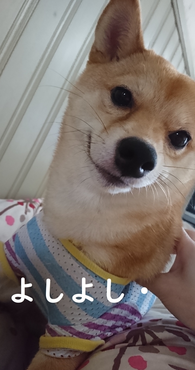 f:id:hanatara:20190629084603j:plain
