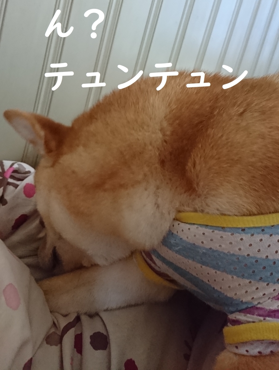 f:id:hanatara:20190629084900j:plain