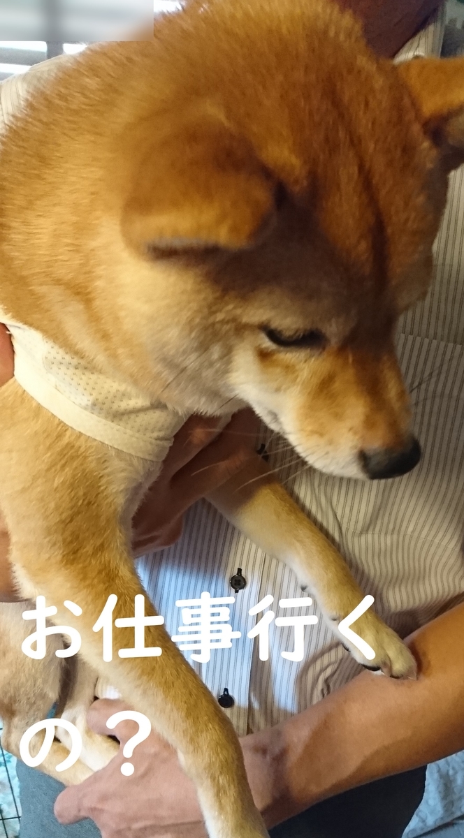 f:id:hanatara:20190629090012j:plain