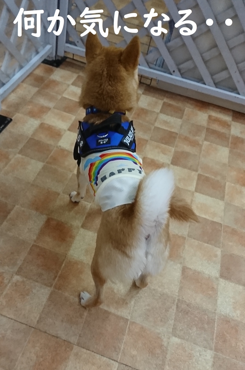 f:id:hanatara:20190706132738j:plain