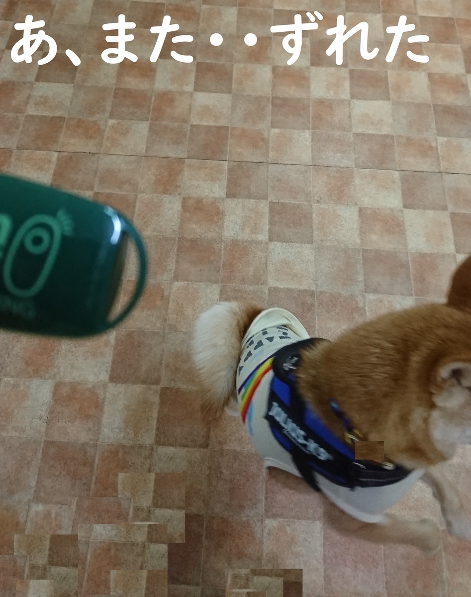 f:id:hanatara:20190706133238j:plain