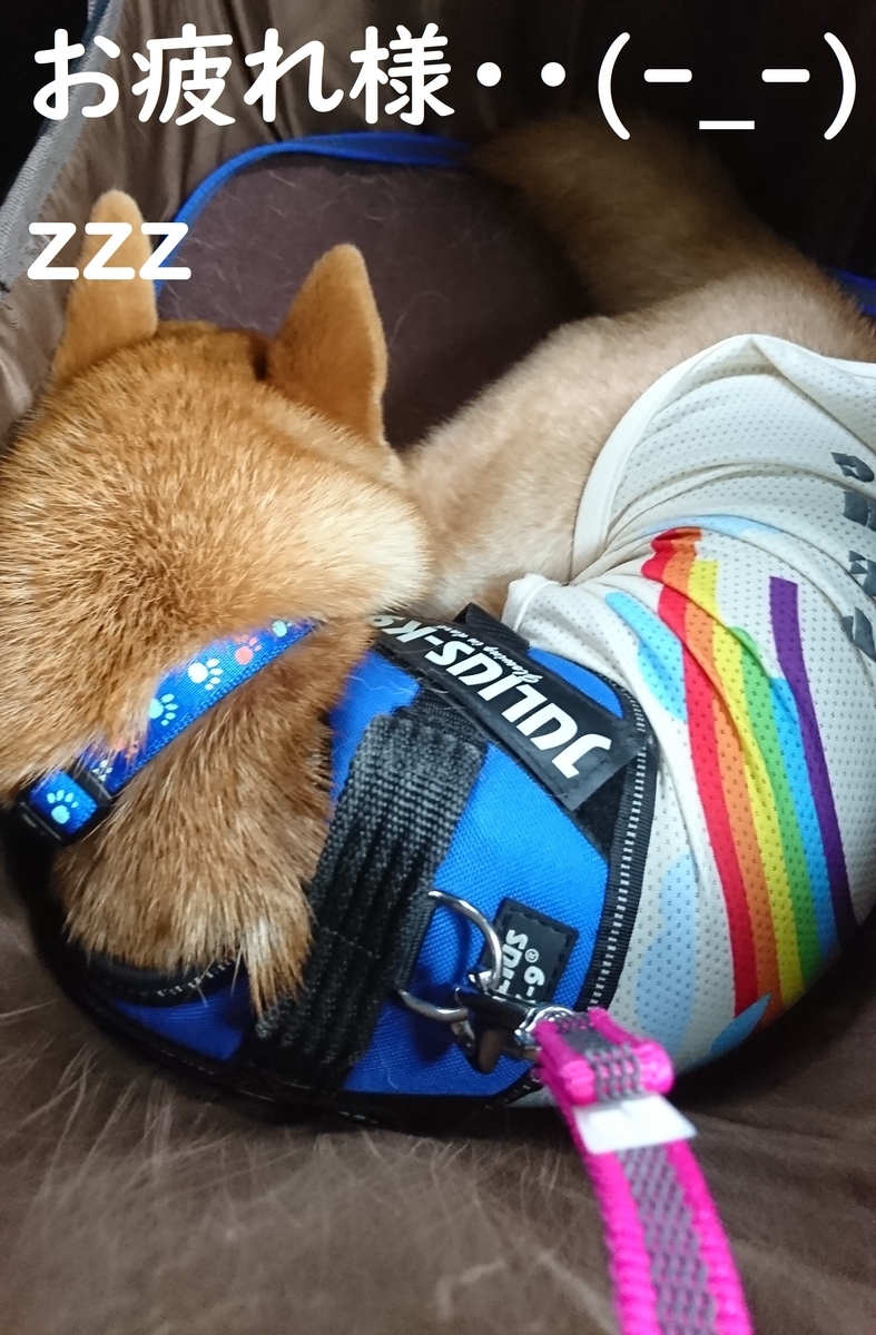 f:id:hanatara:20190706133427j:plain