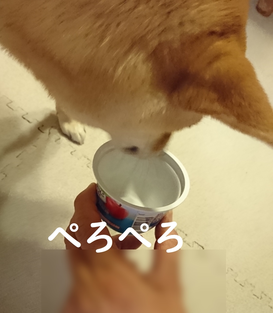f:id:hanatara:20190706134425j:plain