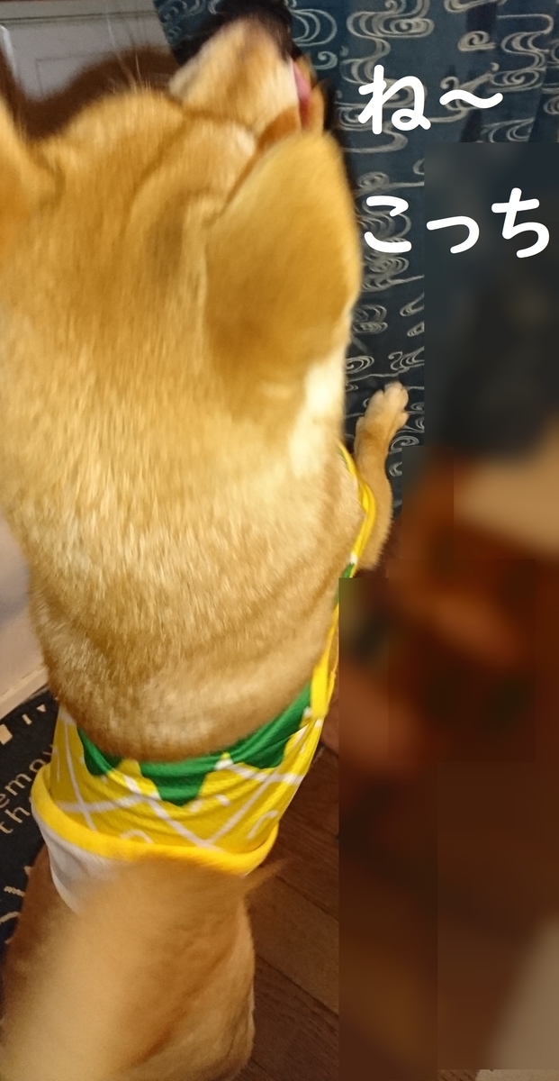f:id:hanatara:20190706190115j:plain